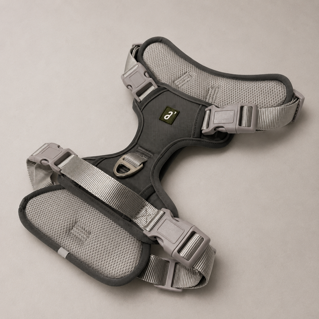 RoamFit Y-Shaped Dog Harness — Stone Grey