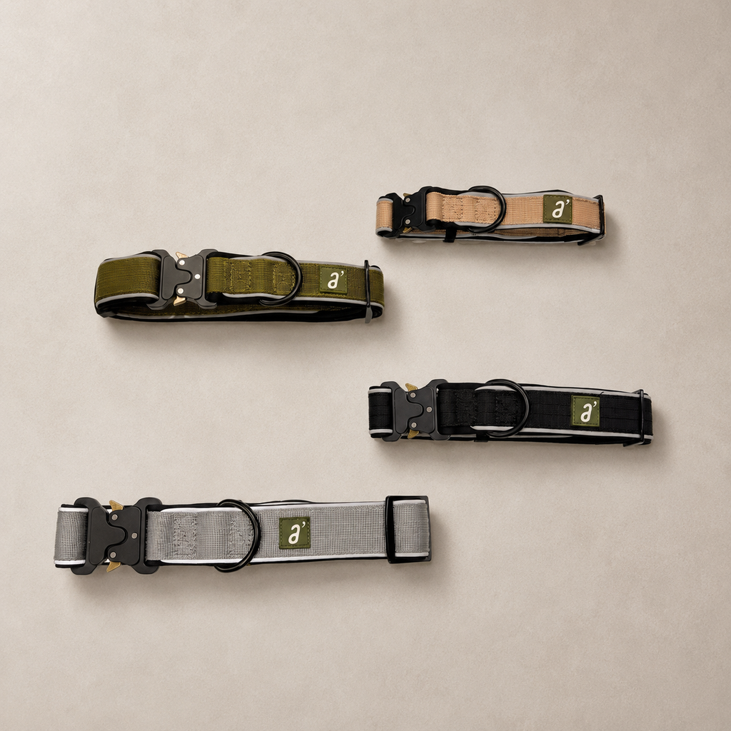 RoamBand Adjustable Dog Collar