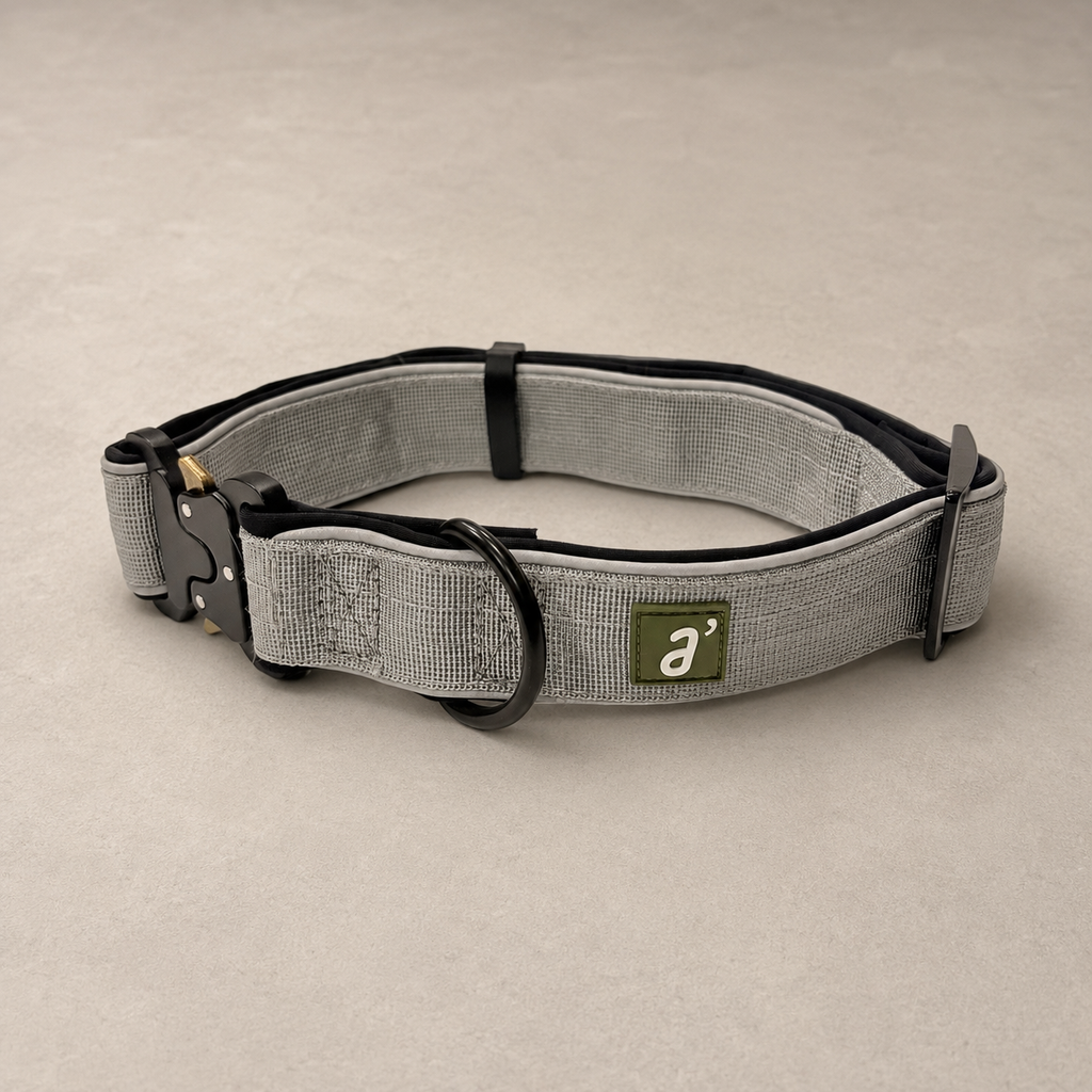 RoamBand Adjustable Dog Collar — Stone Grey