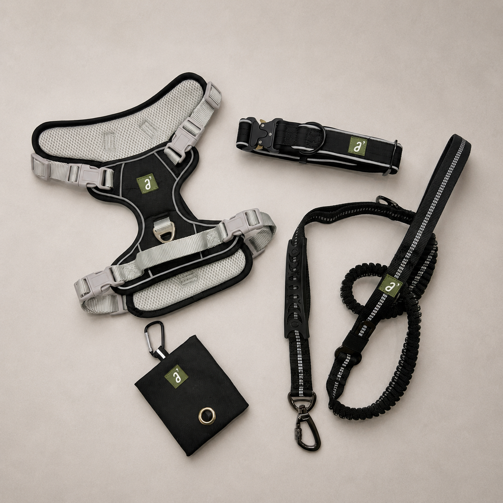 Roam Complete 4-Piece Adventure Kit — Midnight Black