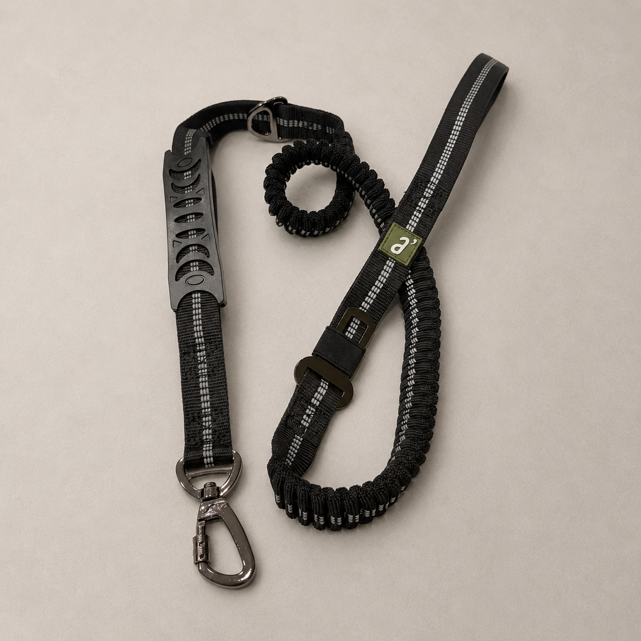 RoamFlex Bungee Dog Leash