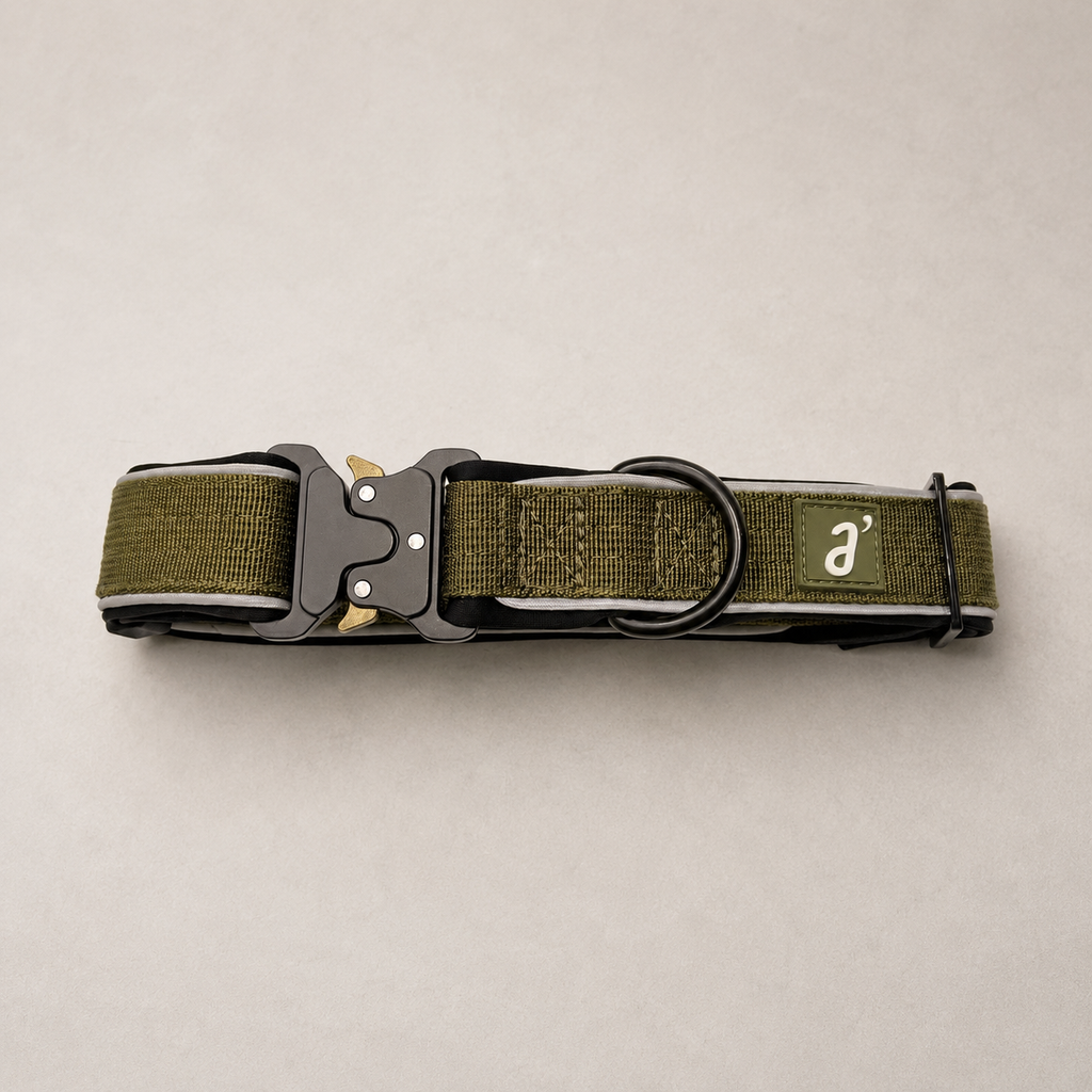 RoamBand Adjustable Dog Collar — Olive Trail