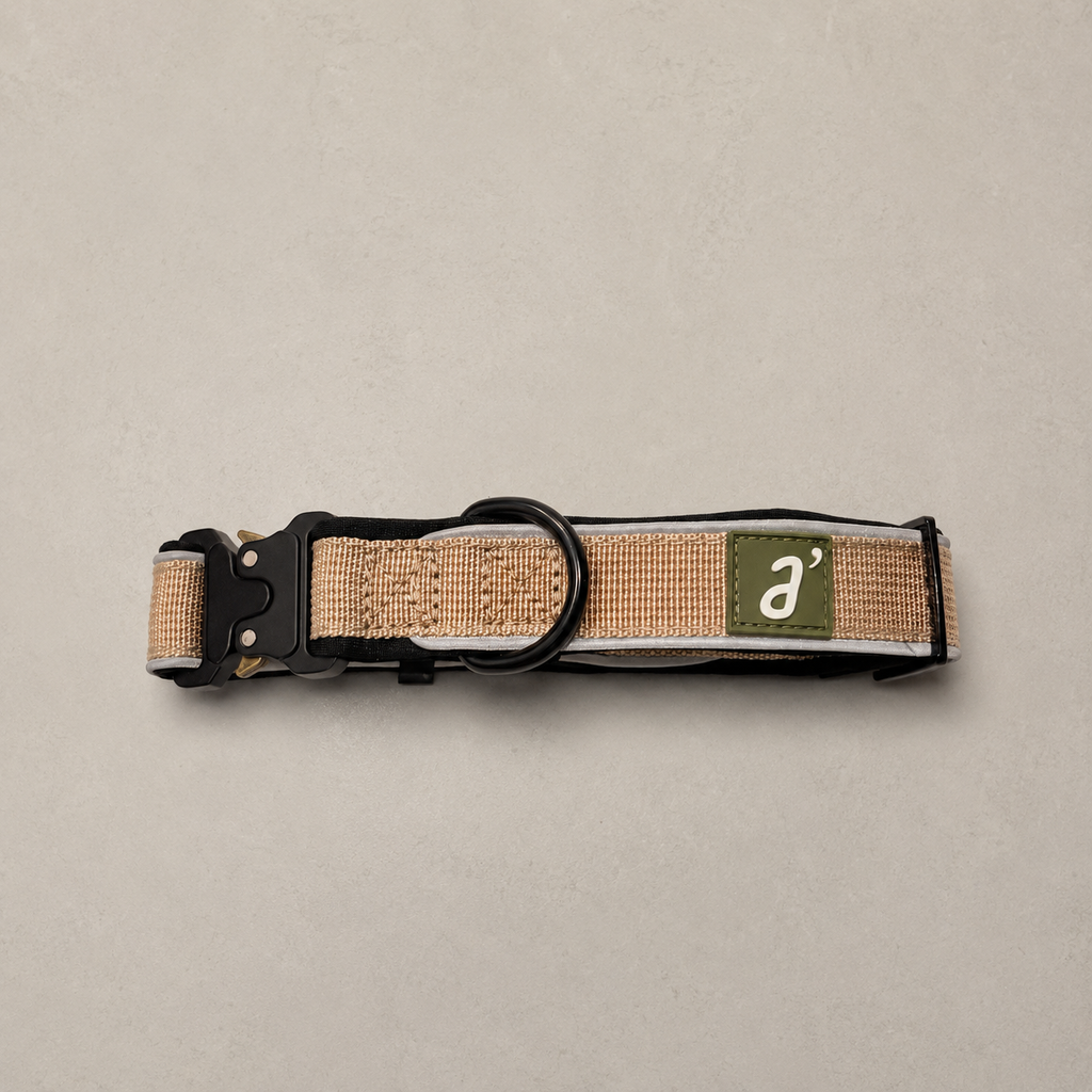 RoamBand Adjustable Dog Collar — Trail Sand