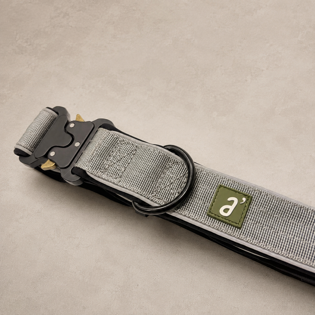 RoamBand Adjustable Dog Collar