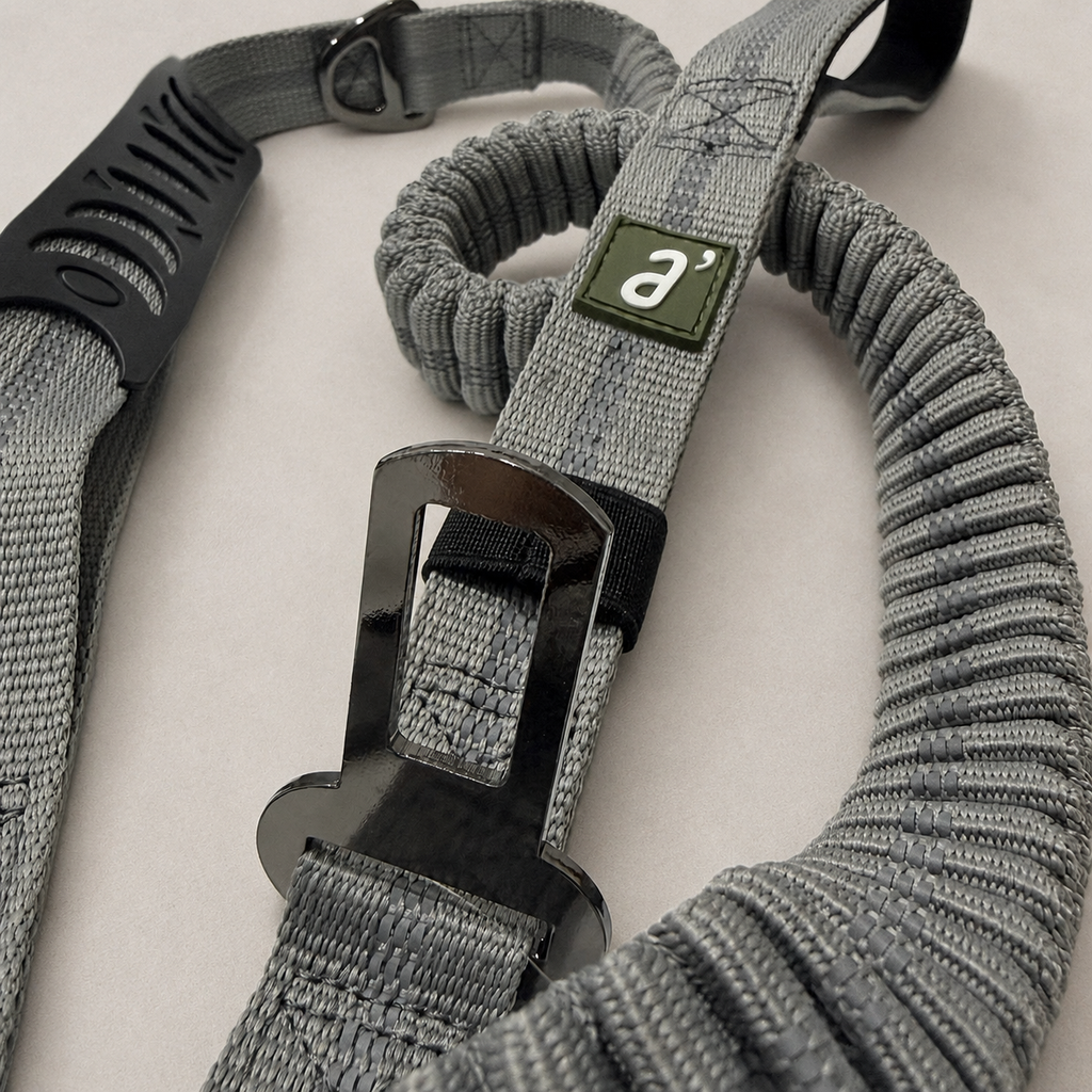RoamFlex Bungee Dog Leash — Stone Grey