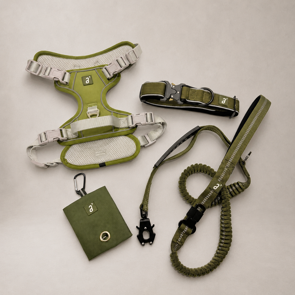 Roam Complete 4-Piece Adventure Kit — Olive Trail