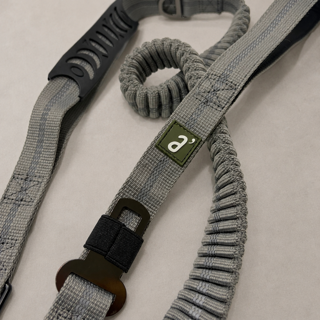 RoamFlex Bungee Dog Leash — Stone Grey