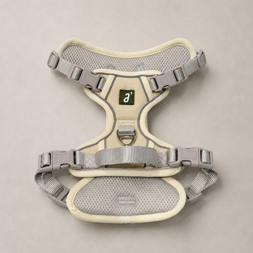 RoamFit Y-Shaped Dog Harness — Sandstone Cream
