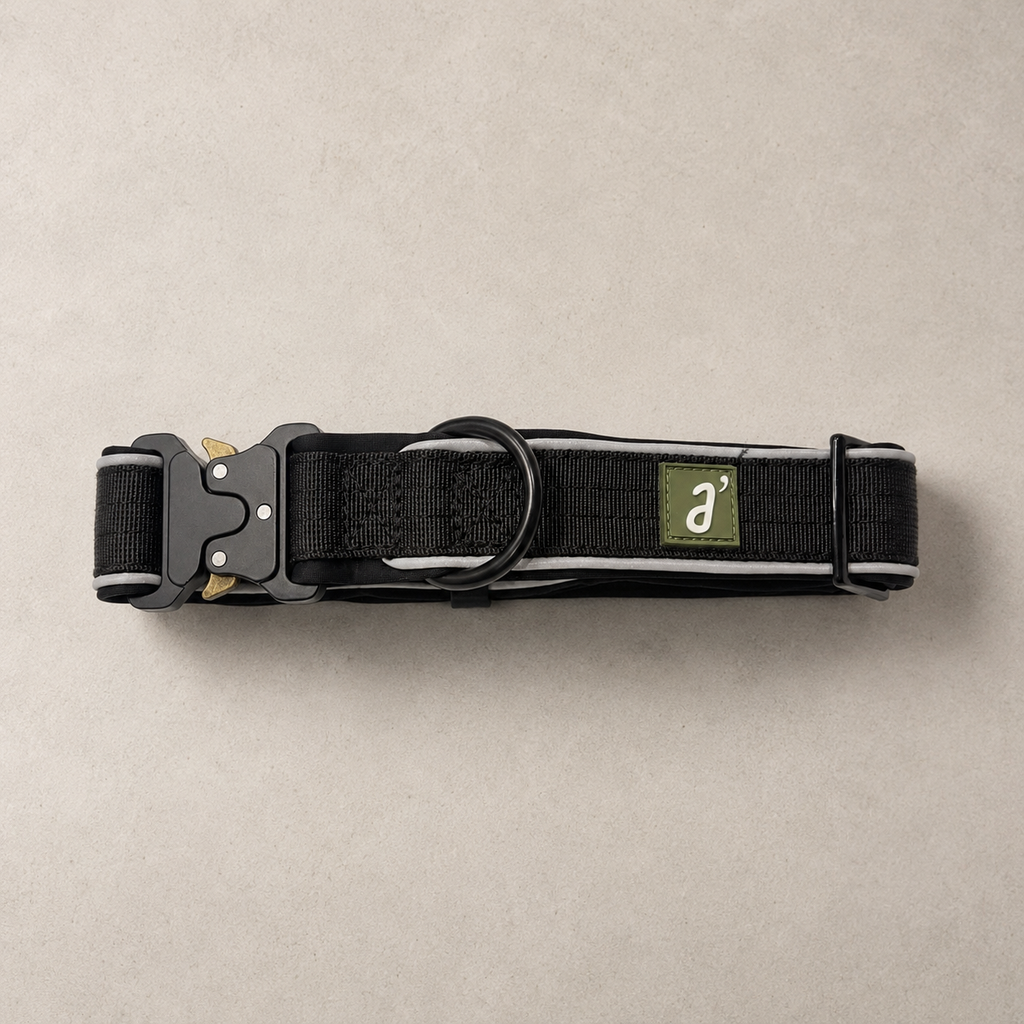 RoamBand Adjustable Dog Collar — Midnight Black