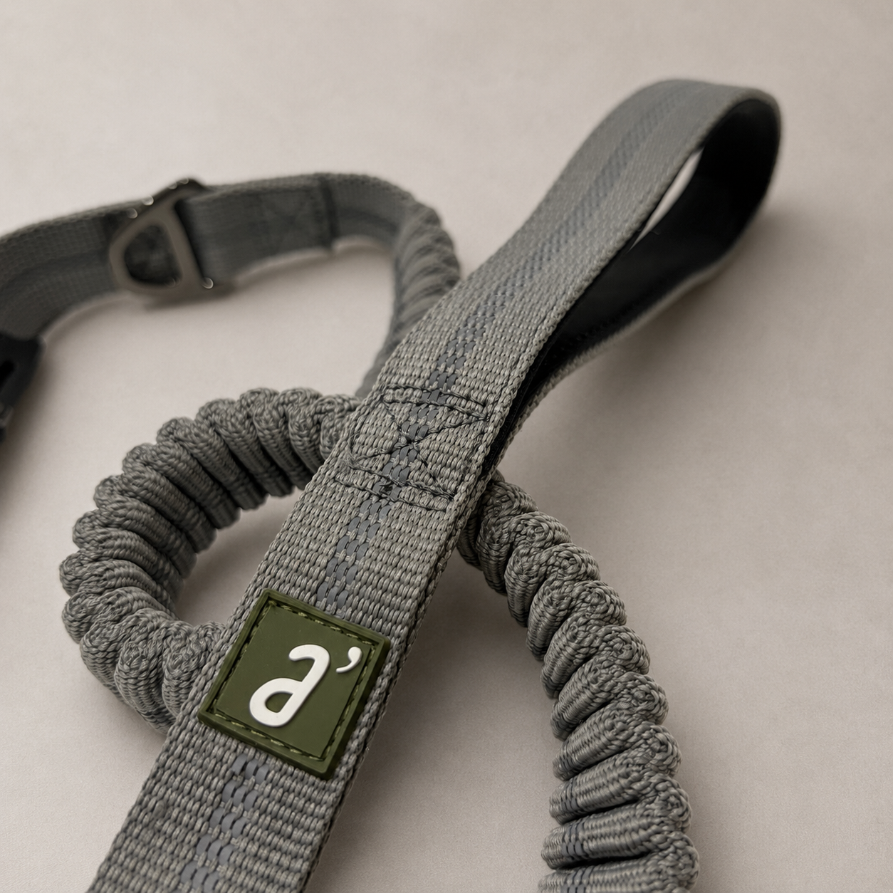 RoamFlex Bungee Dog Leash