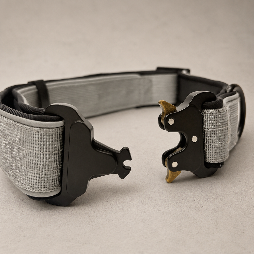 RoamBand Adjustable Dog Collar