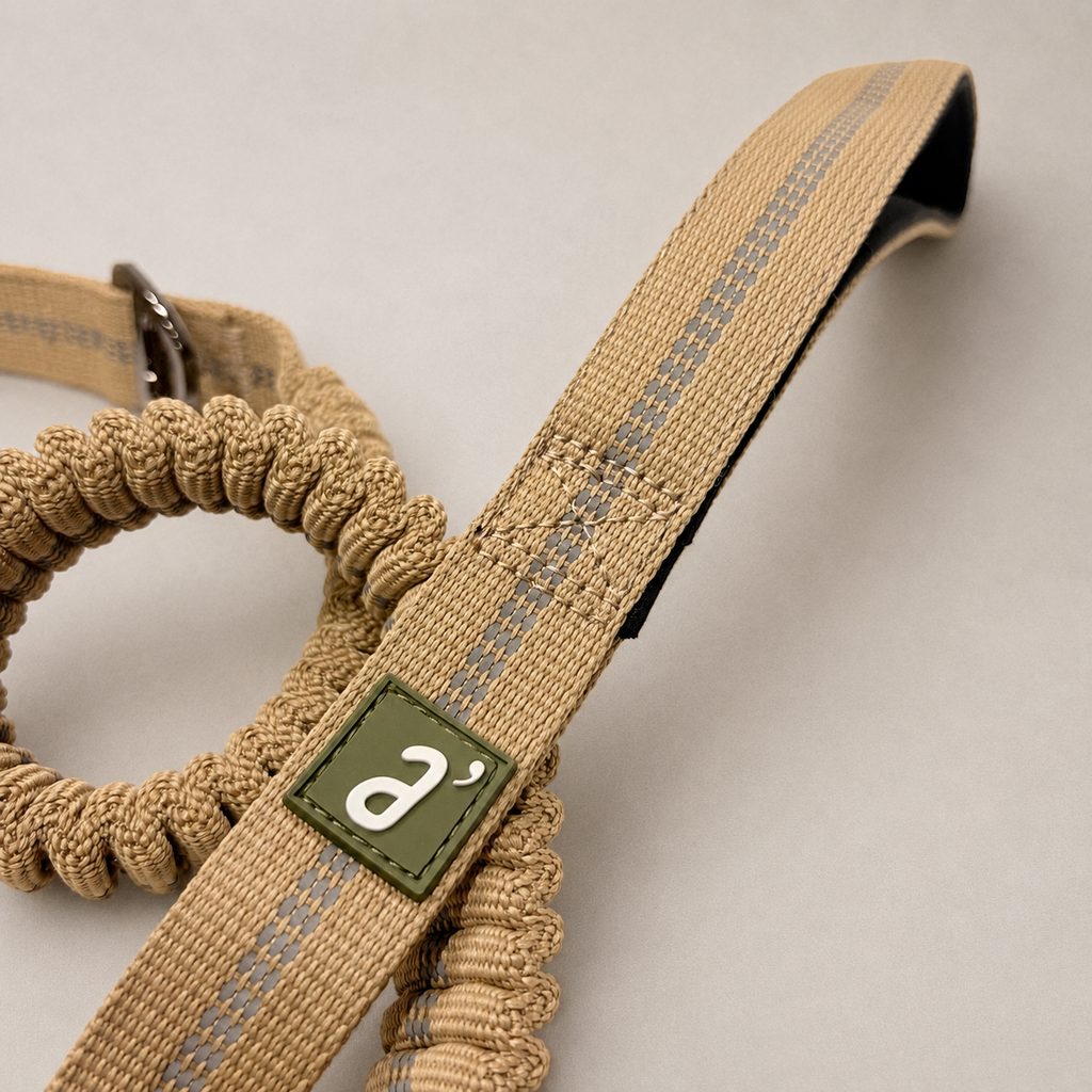 RoamFlex Bungee Dog Leash