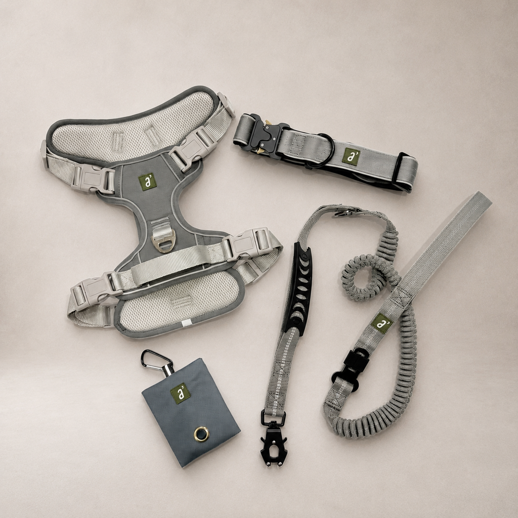 Roam Complete 4-Piece Adventure Kit — Stone Grey