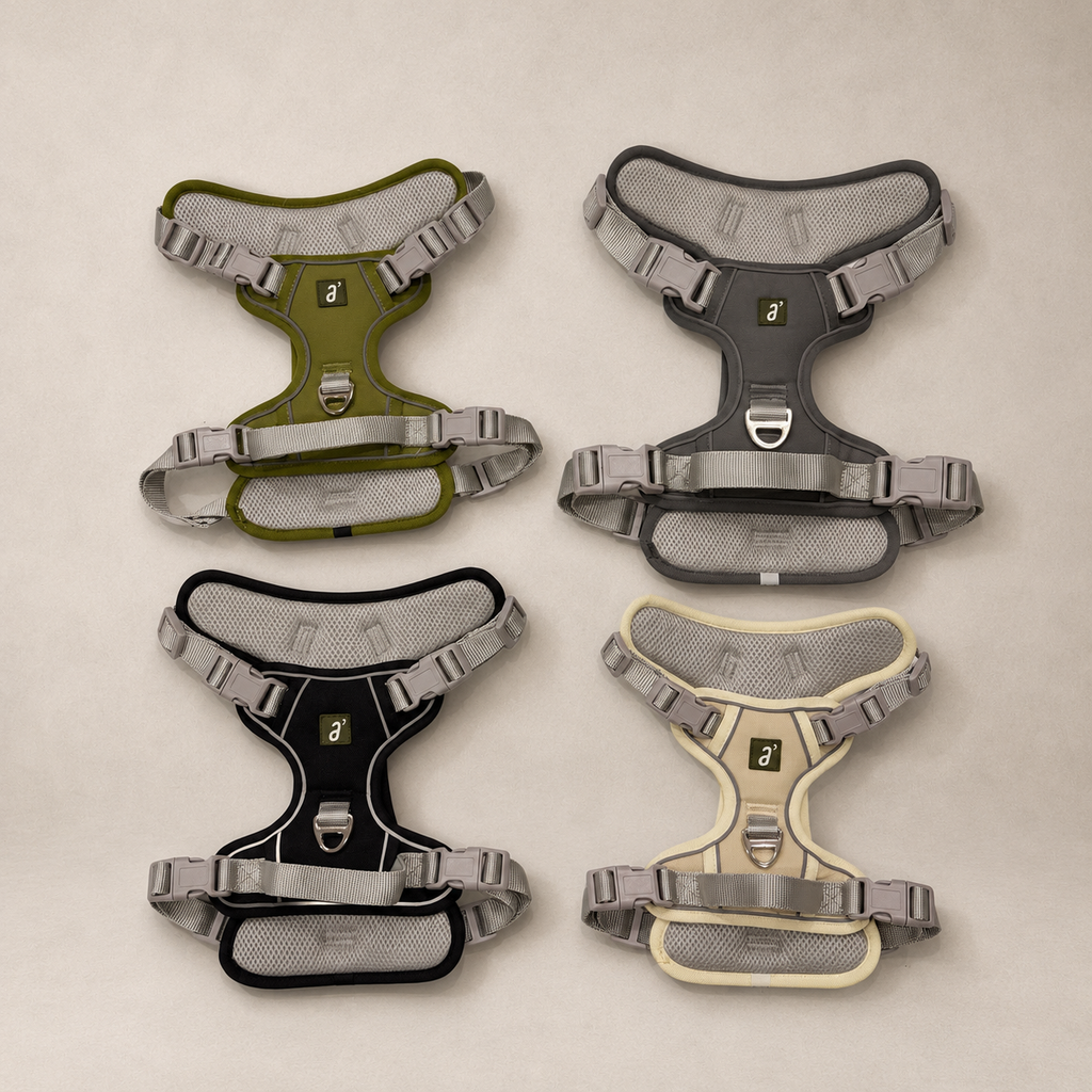 RoamFit Y-Shaped Dog Harness