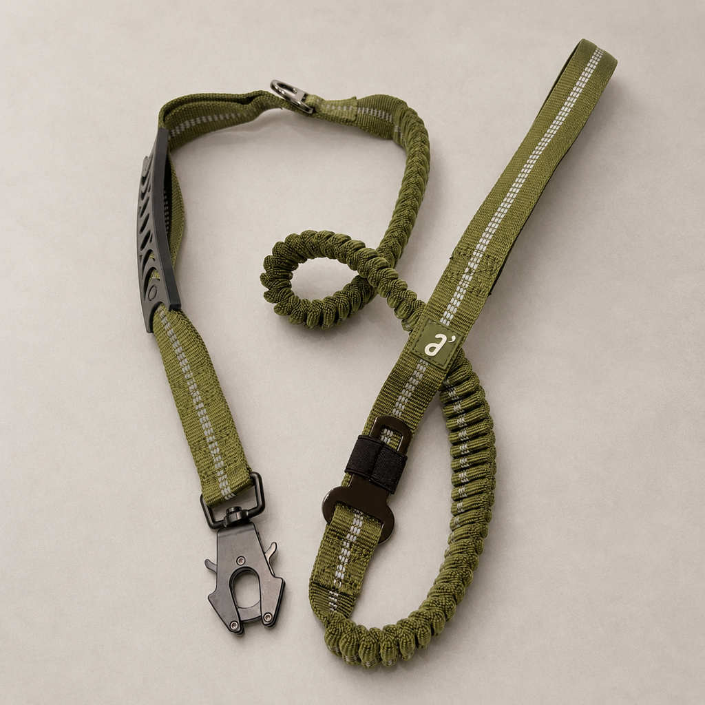 RoamFlex Bungee Dog Leash