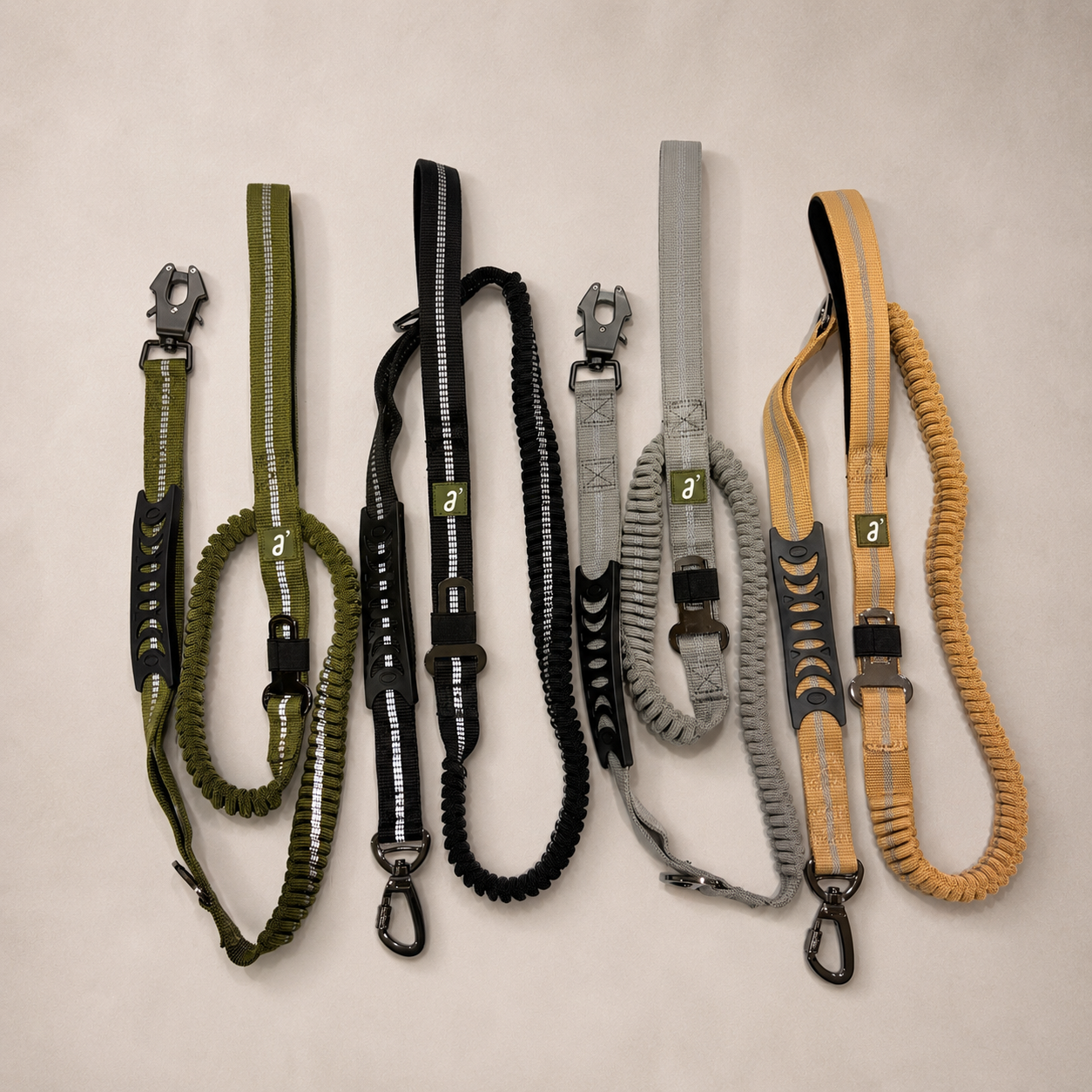 RoamFlex Bungee Dog Leash