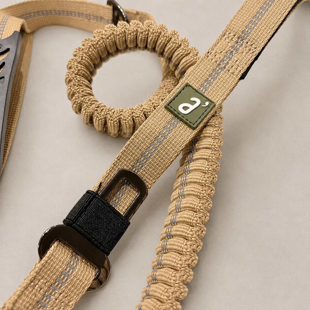 RoamFlex Bungee Dog Leash — Trail Sand