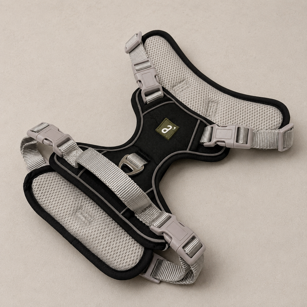 RoamFit Y-Shaped Dog Harness