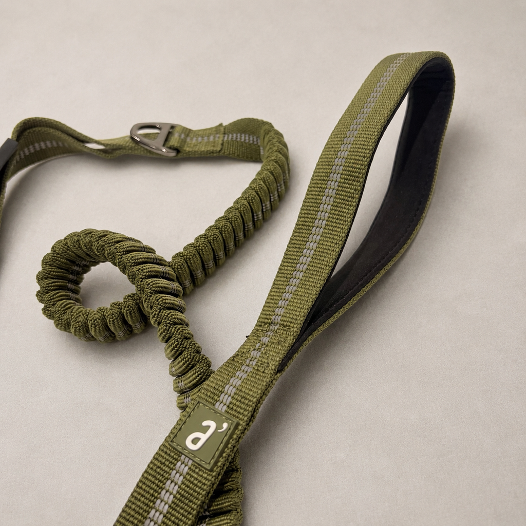 RoamFlex Bungee Dog Leash — Olive Trail