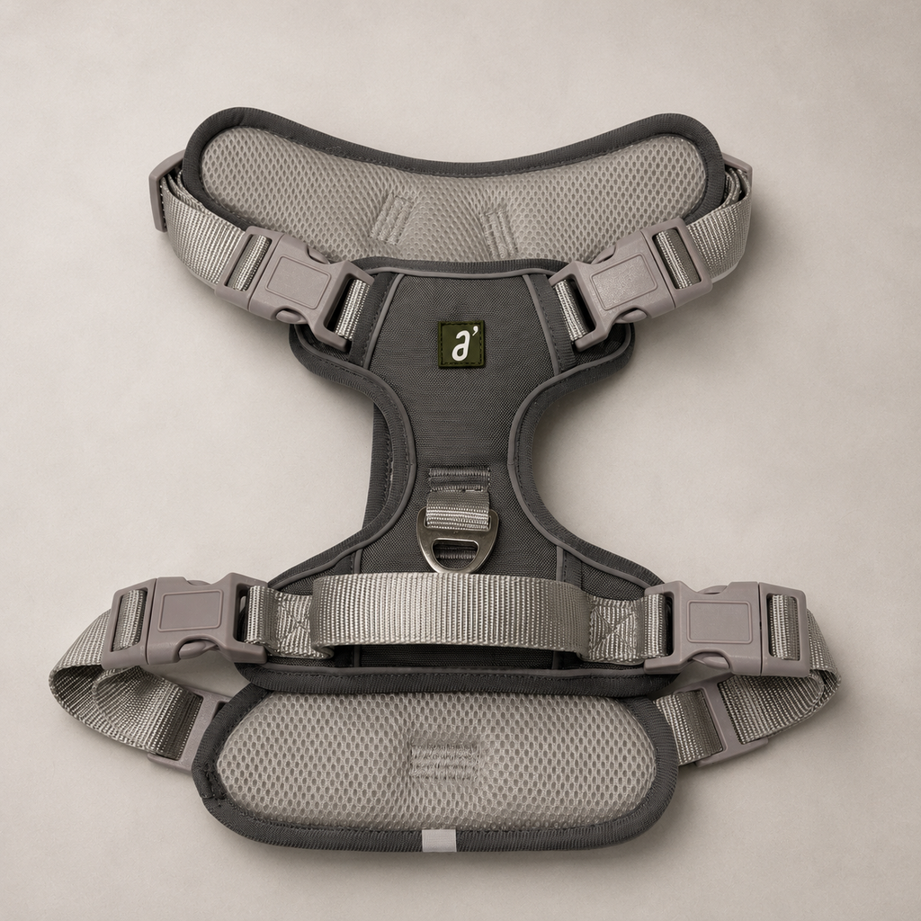 RoamFit Y-Shaped Dog Harness