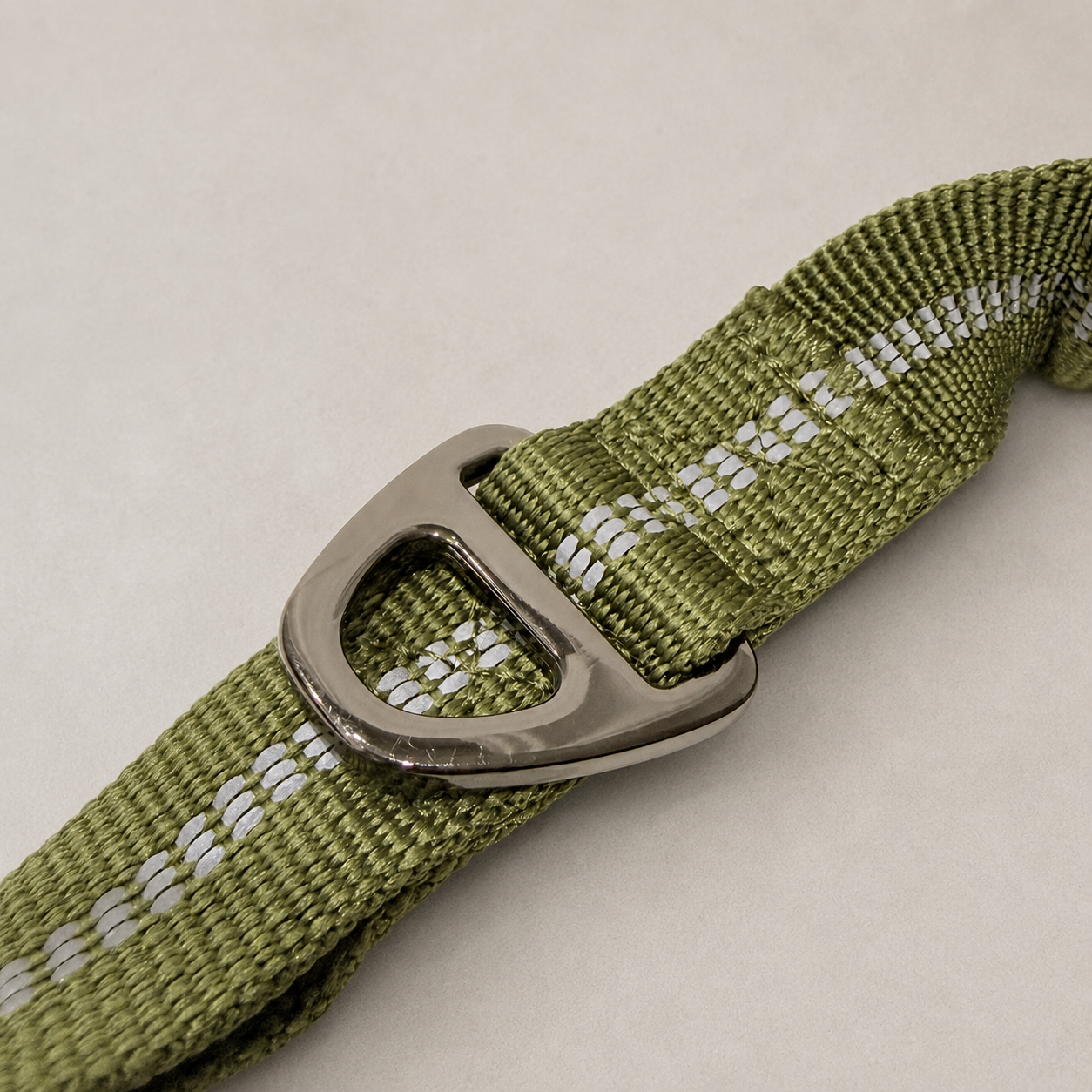 RoamFlex Bungee Dog Leash