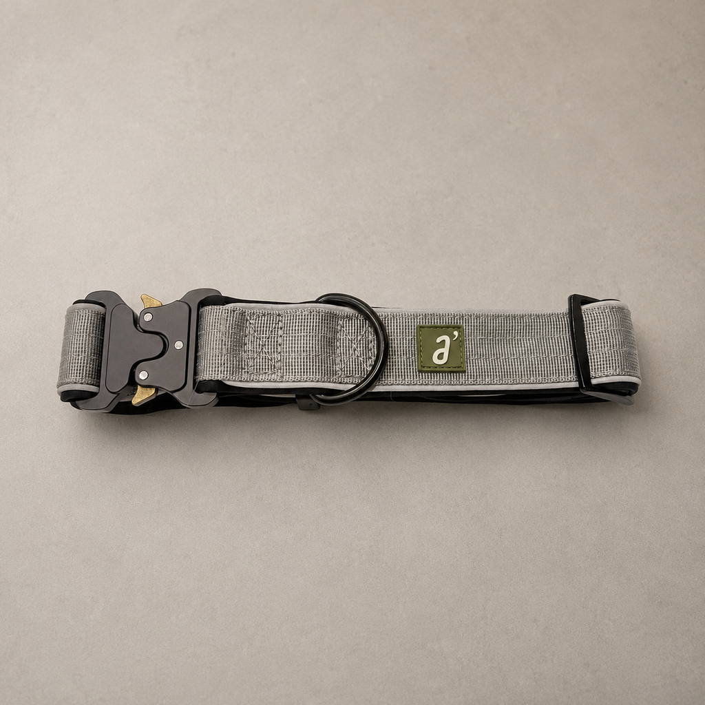 RoamBand Adjustable Dog Collar — Stone Grey