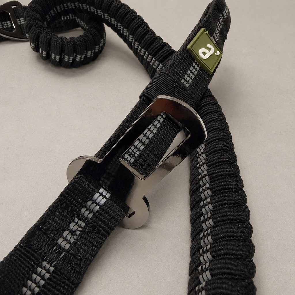 RoamFlex Bungee Dog Leash — Midnight Black